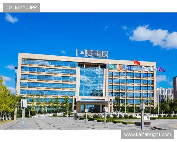 凯发K8.com网址官方地址2026年最新版本，提供稳定可靠的登录通道保障玩家权益